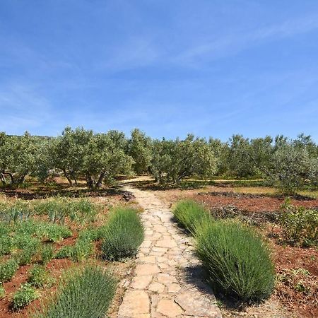 House Oliva Βίλα Tkon Εξωτερικό φωτογραφία